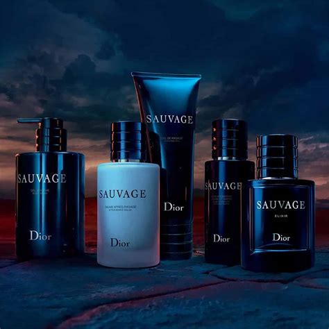 echantillon sauvage dior|parfum dior france.